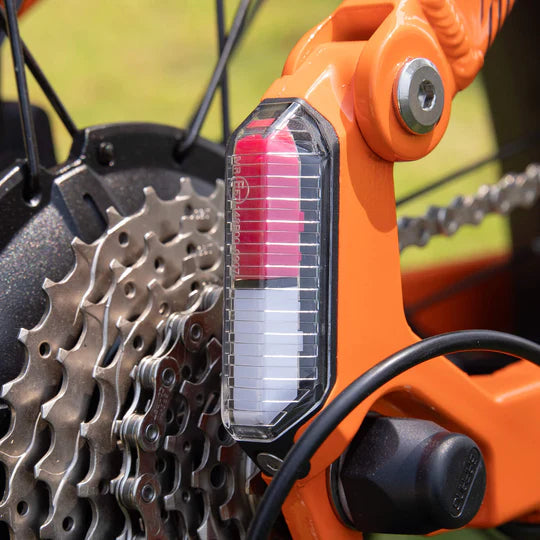 Rear light with indicators